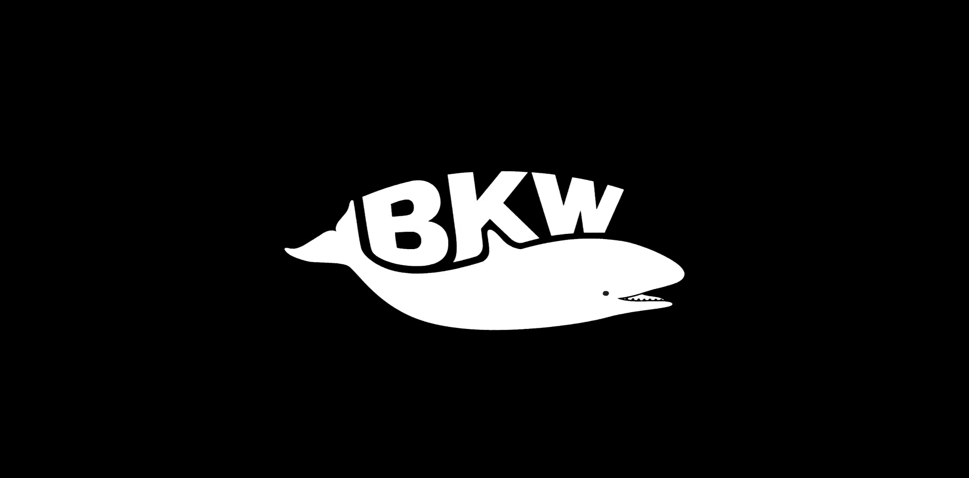 Bkw Instruments Limited BKW Studio